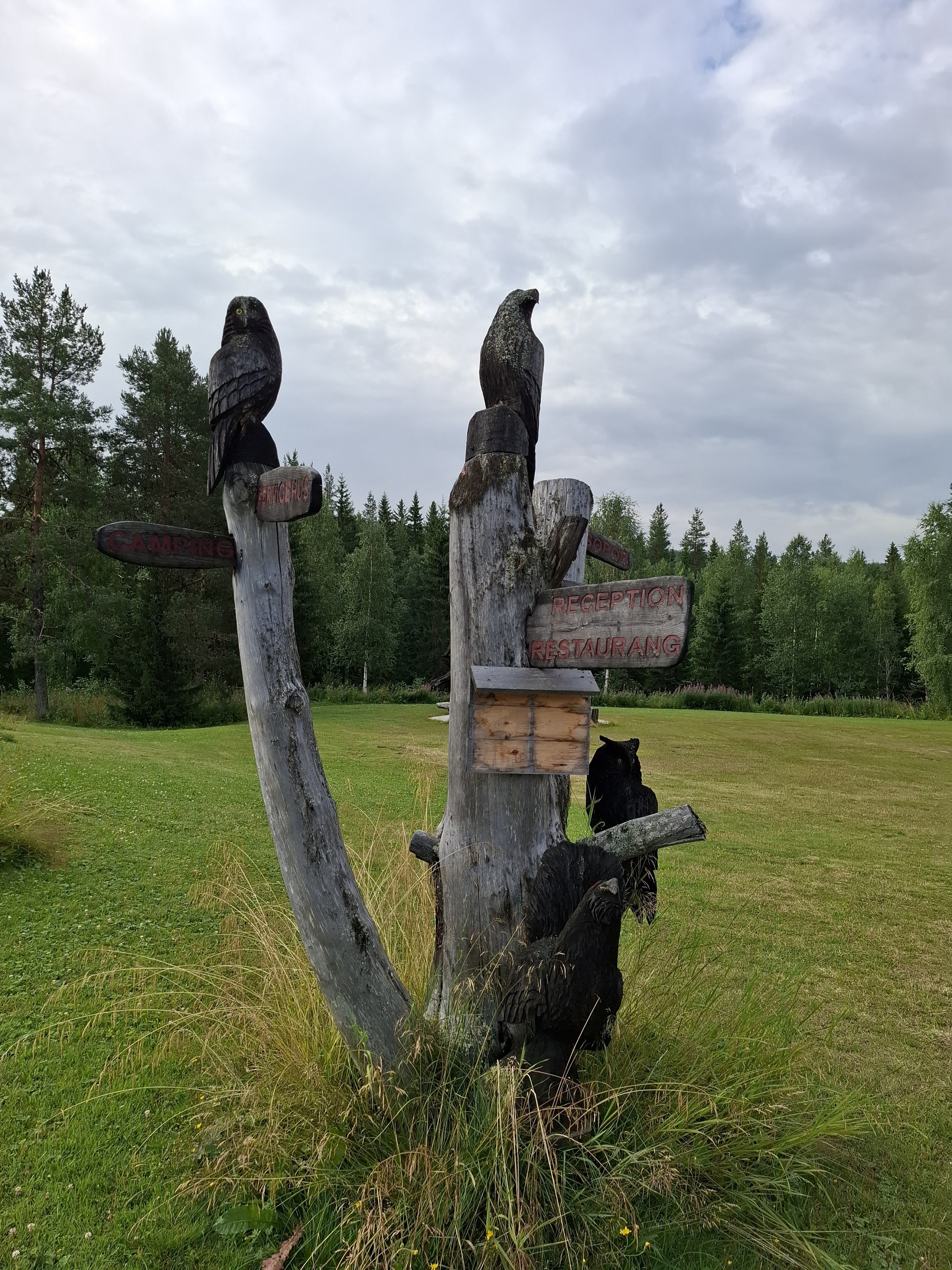 Doro Camp Lapland (Dorotea Camping & Hostel)